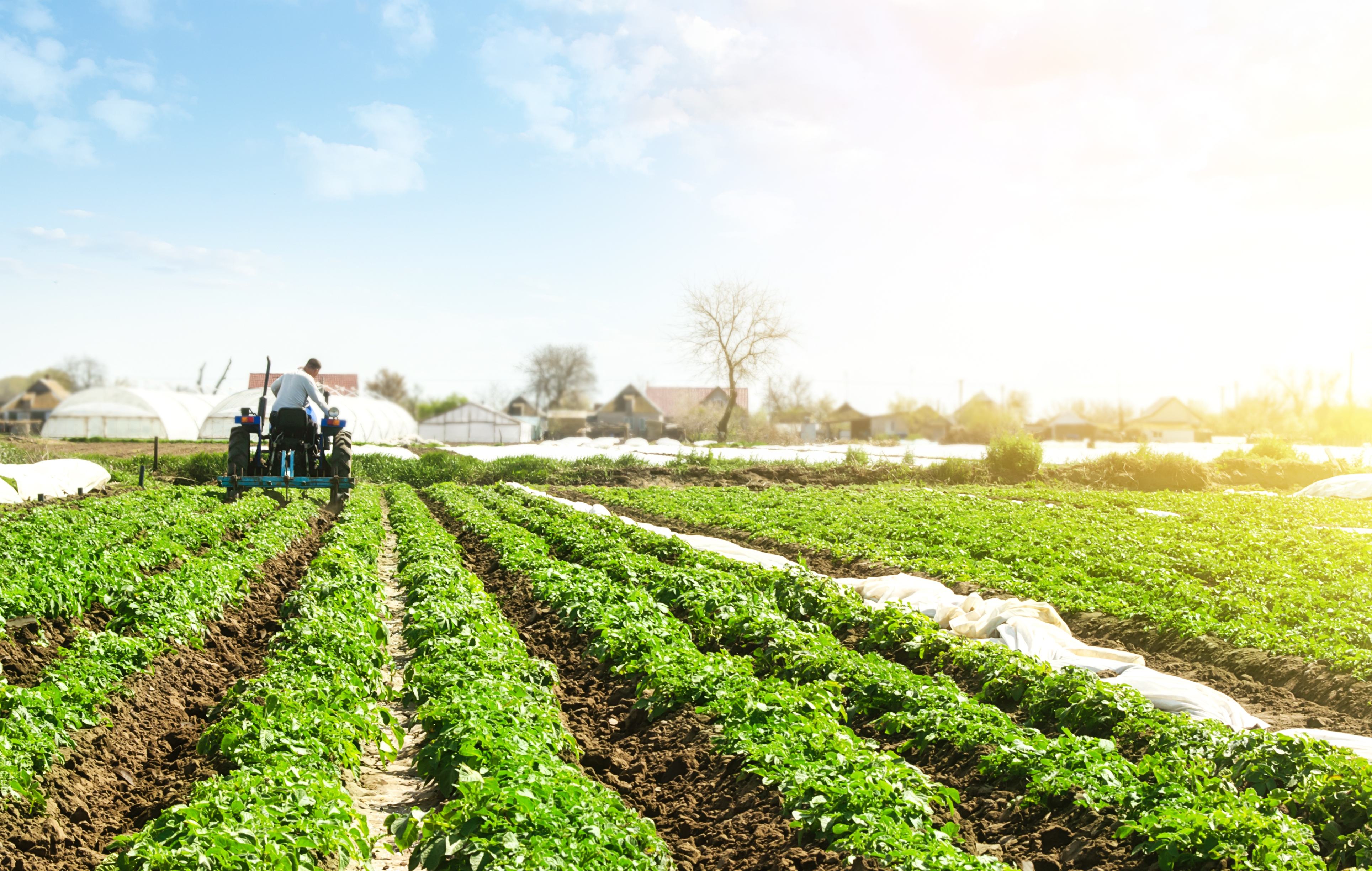 Sustentabilidade no Campo: Práticas que Fazem a Diferença